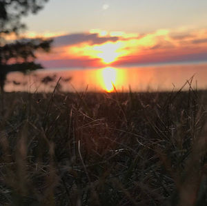 Meet your Posher, Liz